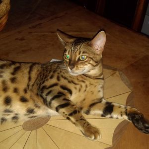 Meet your Posher, Linda